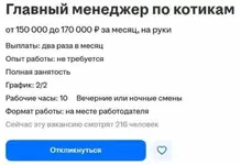 В Екатеринбурге открыли вакансию «главного по котикам».webp