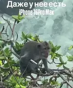 Айфон.webp
