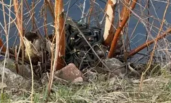 В Подмосковье наткнулись на целый клубок змей, которые мирно грелись на солнце..webp