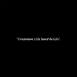 1746015276161.webp