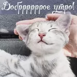 Хорошего начала - выходным!.webp