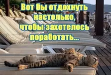 Кто вообще придумал летом на работу ходить.webp