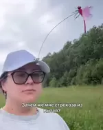 Эффективное средство от комаров.webp