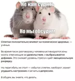 Сплетни положительно влияют на психическое здоровье.webp