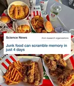 Фастфуд всего за 4 дня убьёт вашу память.webp
