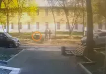 Москвичку оштрафовали за то, что она не смыла мочу своей собаки.webp