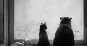 В Турции мужчина после развода будет 10 лет платить алименты.webp