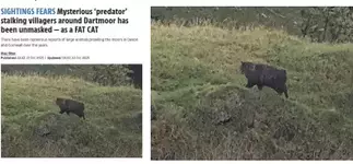 В Англии раскрыли тайну «жуткого монстра».webp