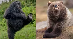Отдохните минутку и посмотрите финалистов фотоконкурса.webp