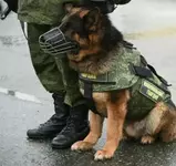 В России легализовали кокаин..webp