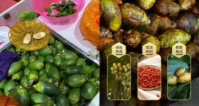 Школьники в России массово подсели на опасный «наркотический» орех.webp