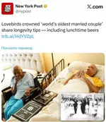 Пиво, мартини и вкусная еда.webp