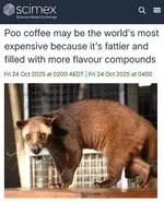 Кофе из фекалий не зря самый дорогой в мире..webp