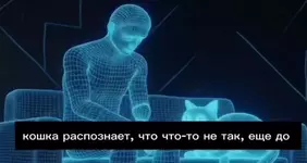 Кошки чувствуют эмоции хозяев и способны синхронизировать с ними сердцебиение.webp