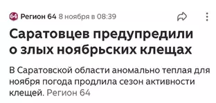 Обзор прессы 8.webp