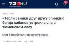 Обзор прессы 7.webp