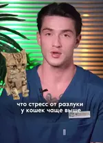 Коты переживают разлуку с хозяином намного тяжелее, чем кажется.webp