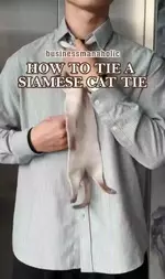 Элегантный галстук в виде кота разорвал рилсы.webp