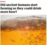 Люди эволюционировали ради пива.webp