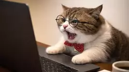 Если вы ругаетесь матом в рабочих чатах или личных сообщениях - вы псих.webp