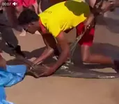 Мурена напала на россиянина в Египте....webp