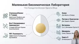 Яйца - один из самых главных продуктов для организма.webp