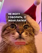 Идеальный набор аватарок-ОБЕРЕГОВ....webp