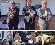 В Японии кошку назначили новым смотрителем вокзала.webp