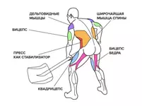 Уборка снега сжигает 550 калорий в час.webp