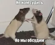 Сплетничать полезно для здоровья.webp