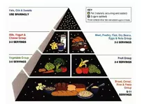 В США изменили рекомендации по питанию, «перевернув» пищевую пирамиду.webp