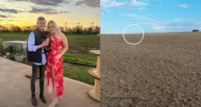 Мы думали, что вместо того, чтобы выживать в дикой природе.webp