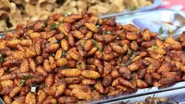 Жуки на вкус как яблоки, осы как кедровые орехи, а черви как жареный бекон..webp