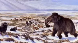 Животные ледникового периода.webp