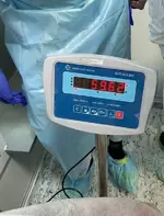 Гигантскую опухоль весом почти в 60 килограммов вырезали у мужчины из Свердловской области.webp