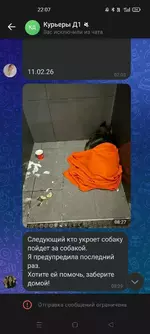 «Додо Пиццу» отменяют по всей России.webp