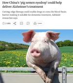 Альцгеймер будут лечить через СПЕРМУ.webp