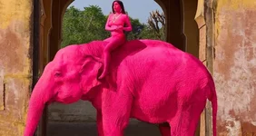 Россиянка ради фотосессии покрасила слона в розовый цвет и в итоге животное скончалось.webp