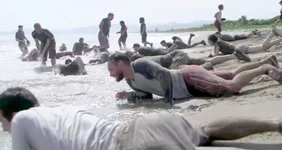 Один из самых безумнейших корпоративов прошёл в Гондурасе.webp