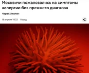 АД для аллергиков наступил в России.webp