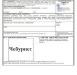 «Чебурнет» официально будет в России.webp