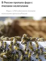 Фуру с узбекскими пчëлами-нелегалами уже месяц ищут по всей России.webp