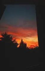 MX7.webp